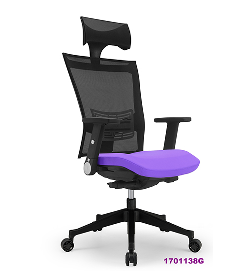 Office Chair 1701138G-
