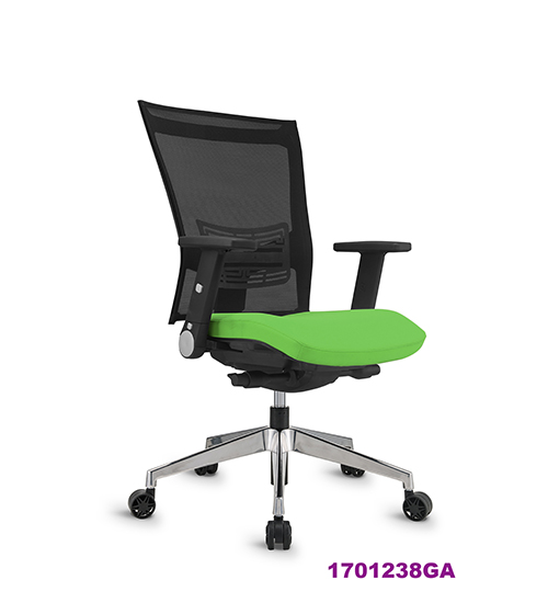 Office Chair 1701238GA