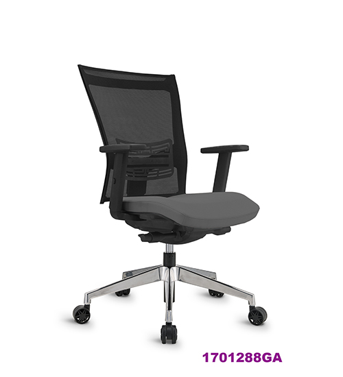 Office Chair 1701288GA