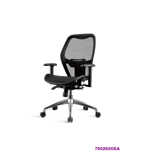 Office Chair 700262GEA