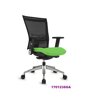 Office Chair 1701238GA