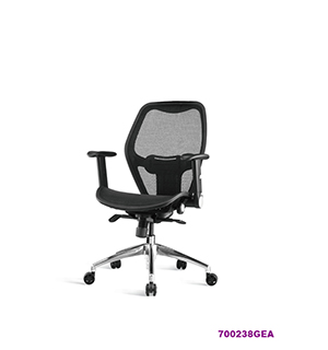 Office Chair 700238GEA